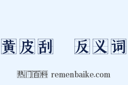 黄皮刮廋反义词是什么意思的图片